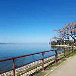 Milo - Zadar